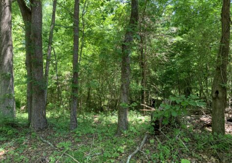 Jennings Mill Residential Lot – 1030 Chambers Court