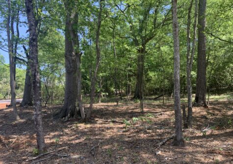 Jennings Mill Residential Lot – 1200 Paxton Court