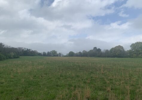 Winterville Land Tract
